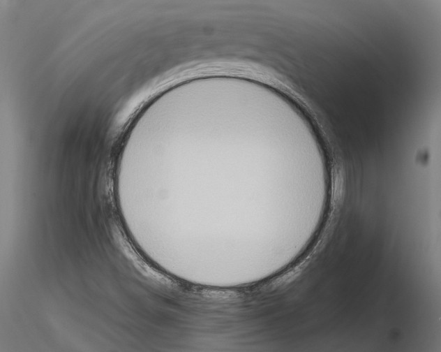 X0000115101498200912081246