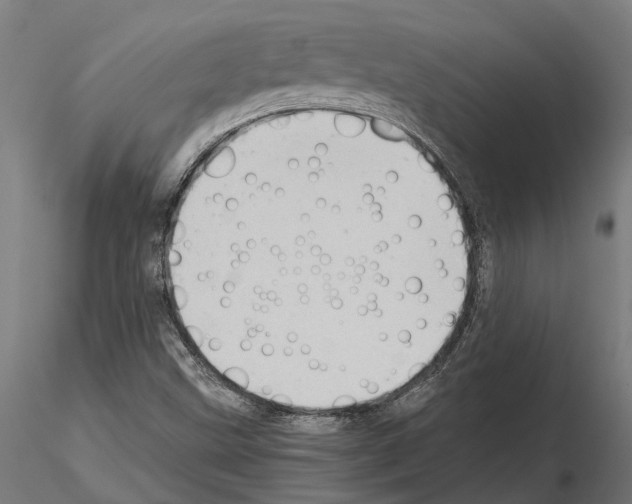 X0000115101499200912081246