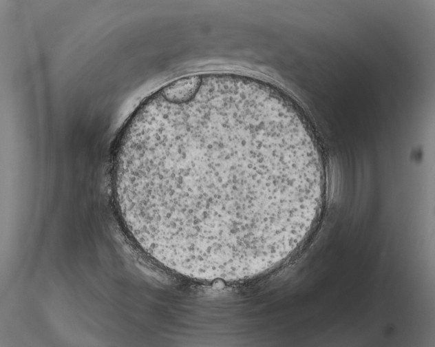 X0000115101501200912081246