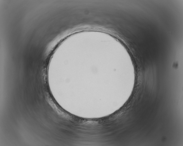 X0000115101503200912081246