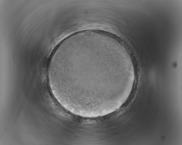 X0000115101505200912081246