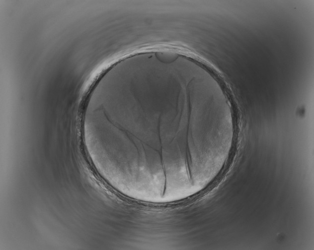 X0000115101506200912081246