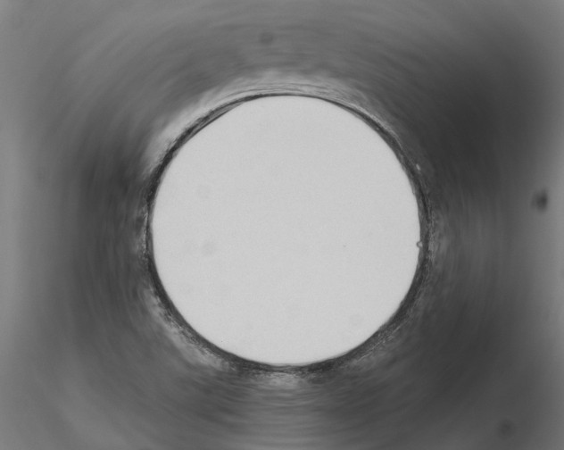 X0000115101507200912081246