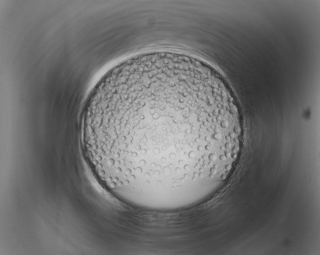 X0000115101515200912081247