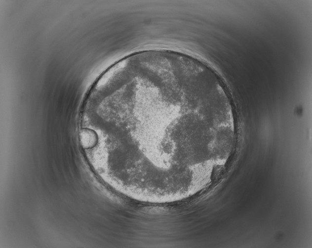 X0000115101517200912081247