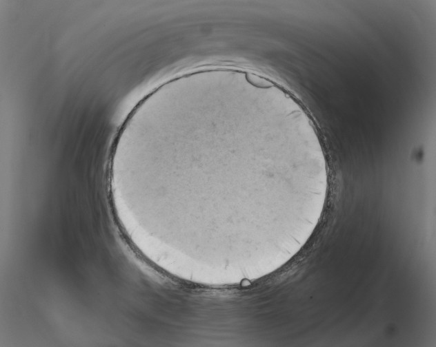 X0000115101519200912081247