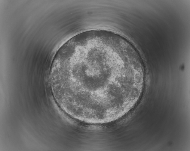 X0000115101521200912081247