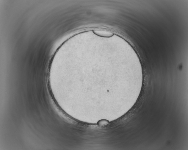 X0000115101523200912081247