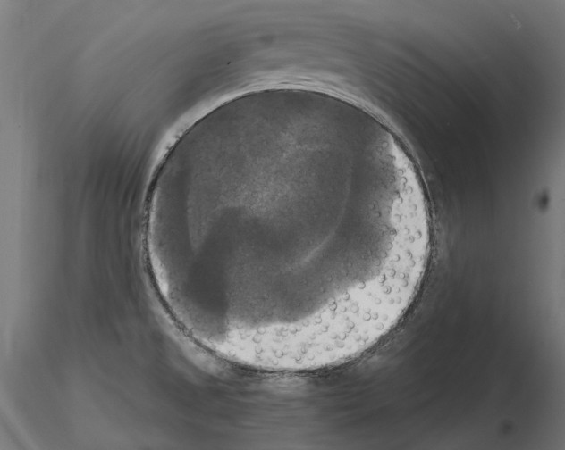 X0000115101525200912081247