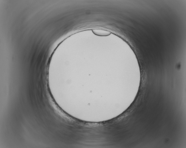 X0000115101526200912081247