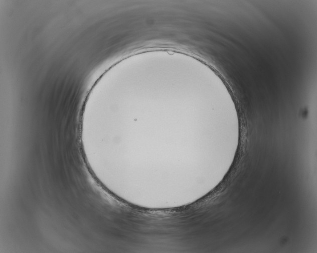 X0000115101527200912081247