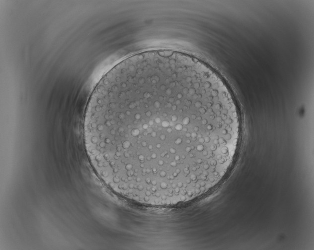 X0000115101529200912081247