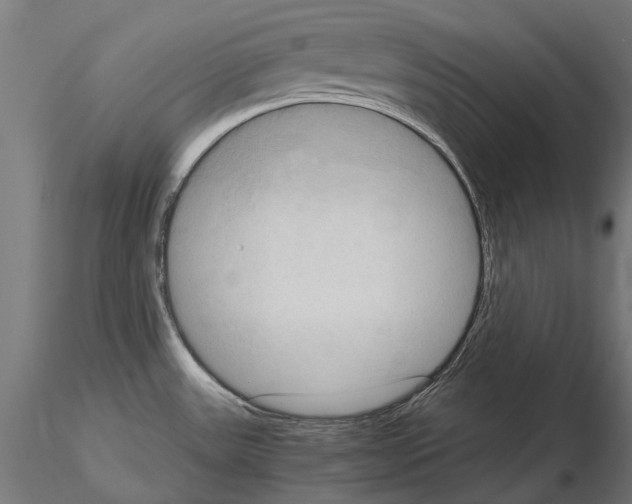 X0000115101531200912081247