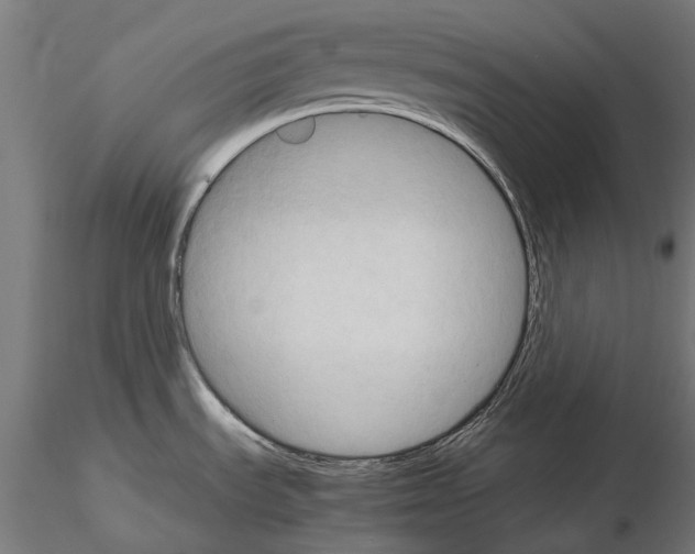 X0000115101535200912081247