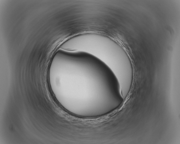 X0000115110001200911101615