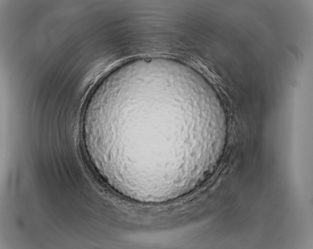 X0000115110002200911101615