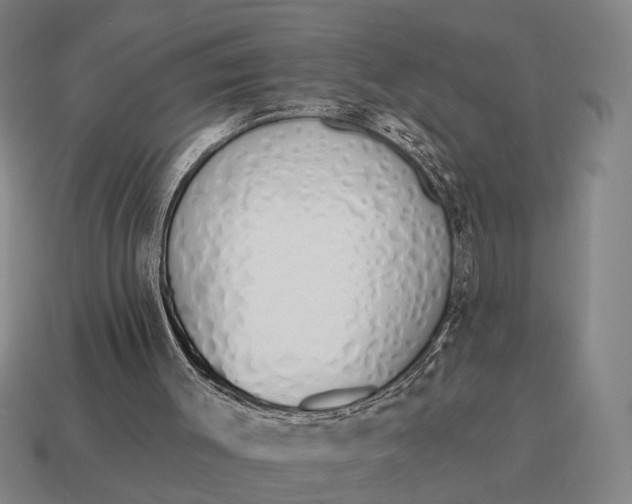 X0000115110003200911101615