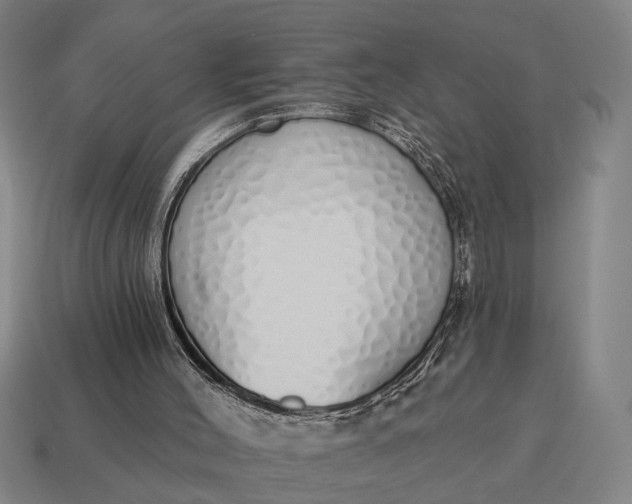 X0000115110004200911101615
