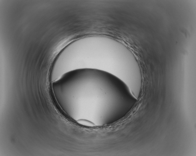 X0000115110005200911101615