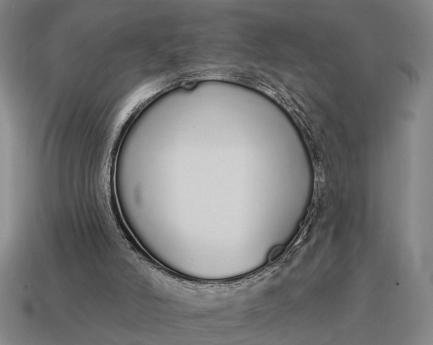 X0000115110006200911101615