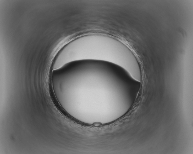 X0000115110007200911101615
