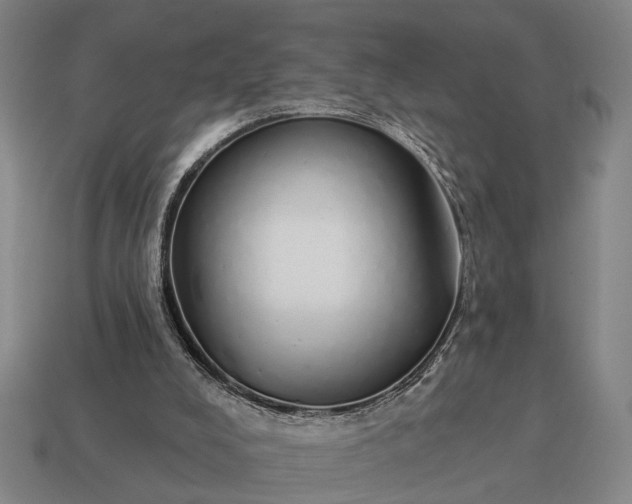 X0000115110008200911101615