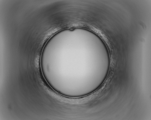 X0000115110010200911101615