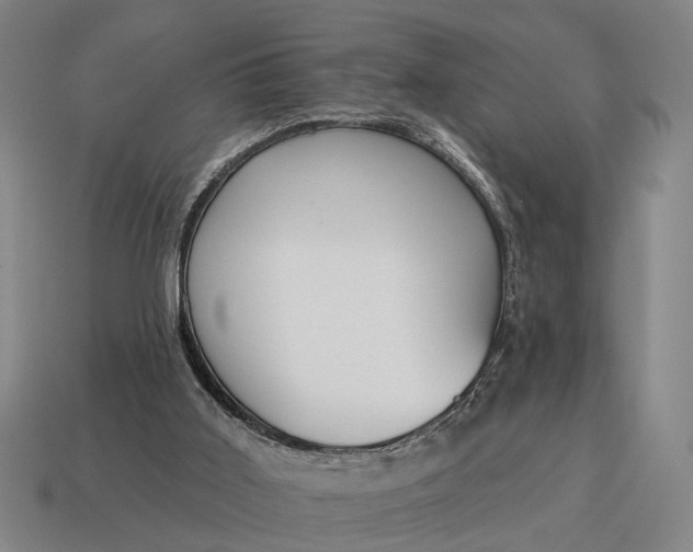 X0000115110011200911101615