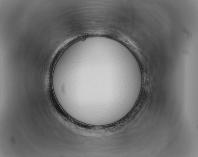 X0000115110012200911101615
