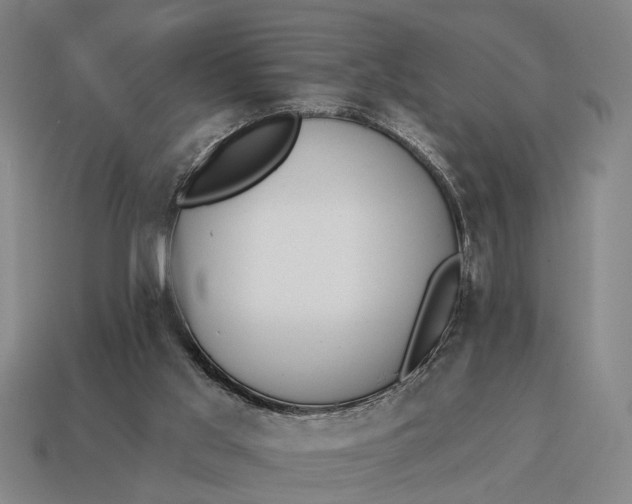 X0000115110013200911101615