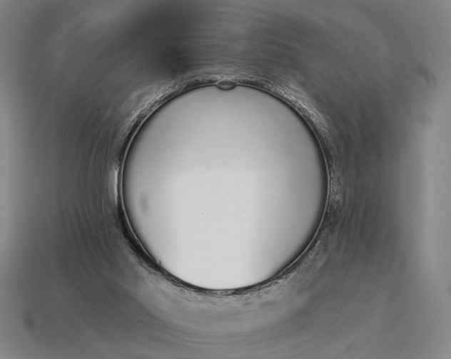 X0000115110014200911101615