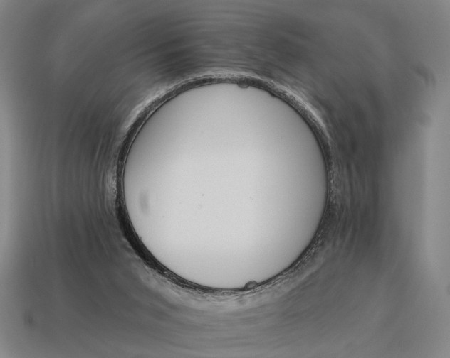 X0000115110015200911101615