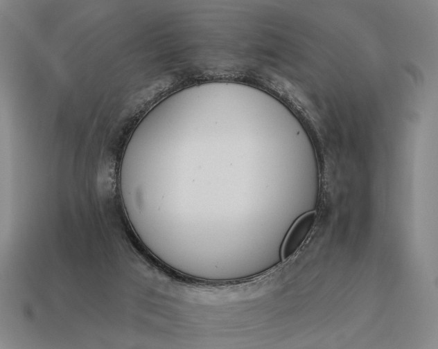 X0000115110017200911101615