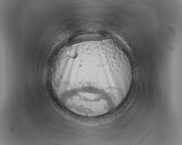 X0000115110018200911101615