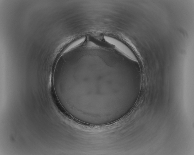X0000115110019200911101615