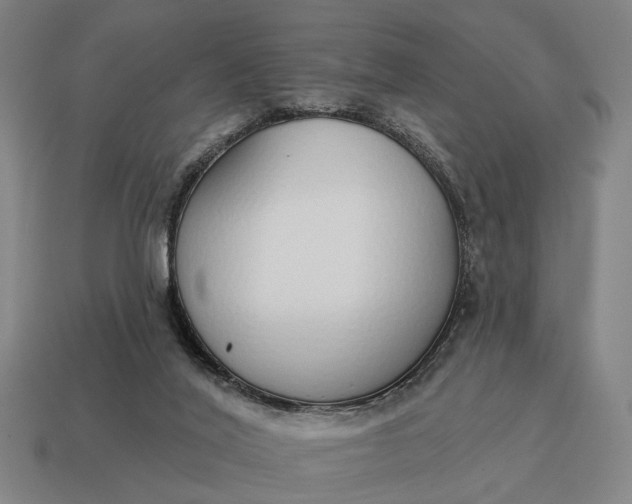 X0000115110020200911101615