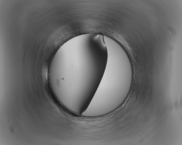 X0000115110021200911101615