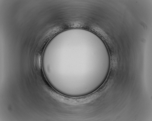 X0000115110022200911101615