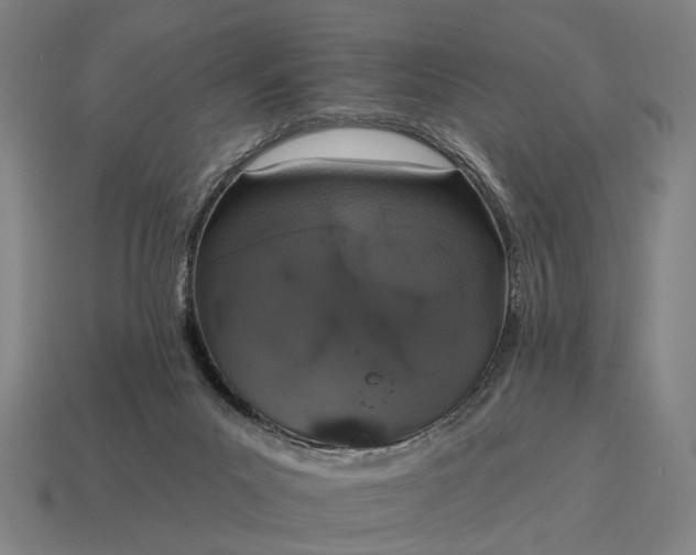 X0000115110023200911101615