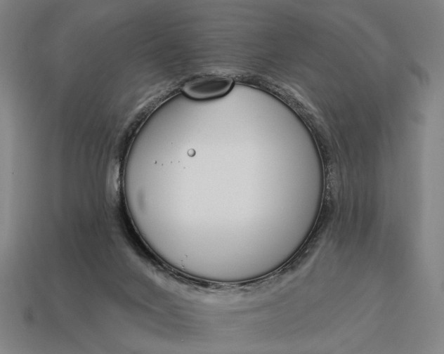 X0000115110024200911101615