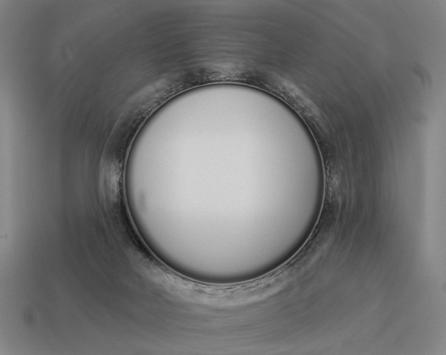 X0000115110026200911101615