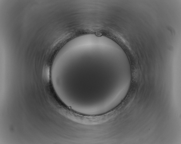 X0000115110027200911101615