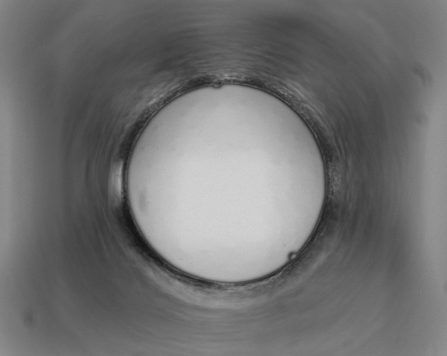 X0000115110028200911101615