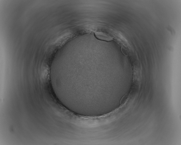X0000115110029200911101615