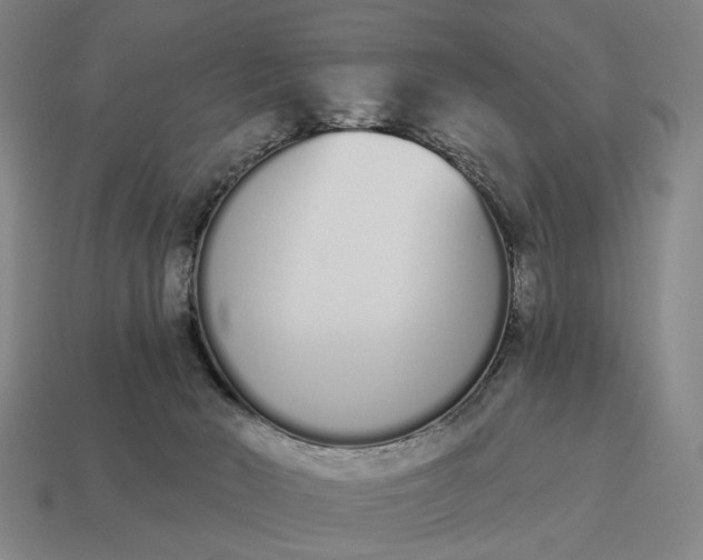 X0000115110030200911101615