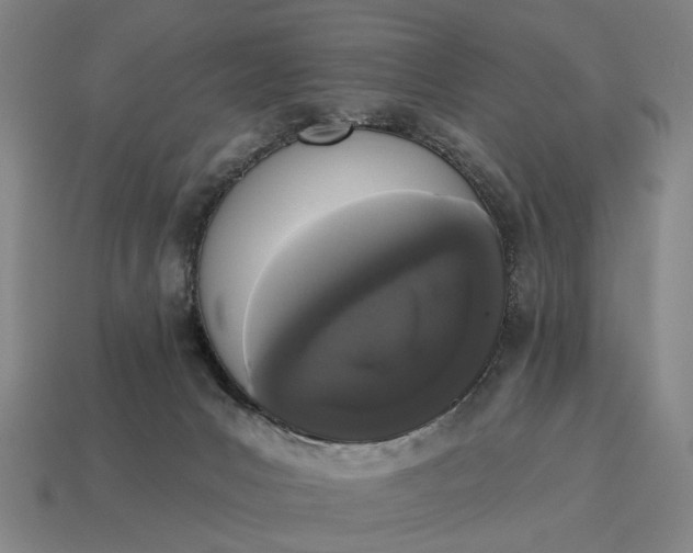 X0000115110031200911101615