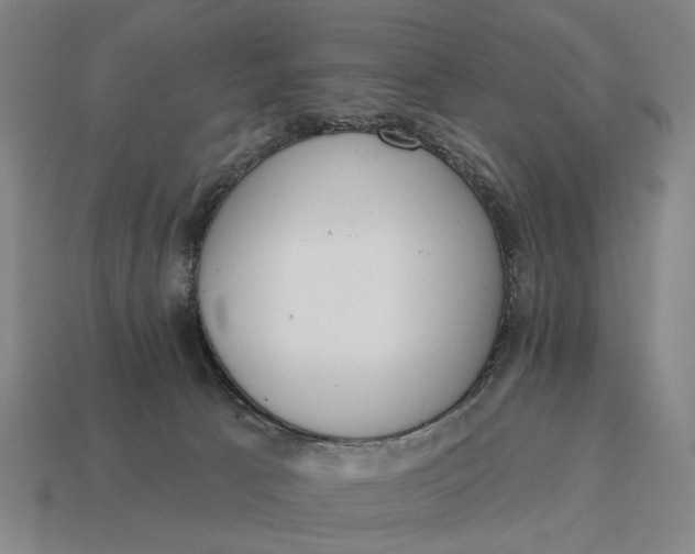 X0000115110033200911101615