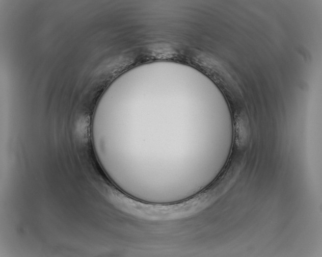 X0000115110034200911101615