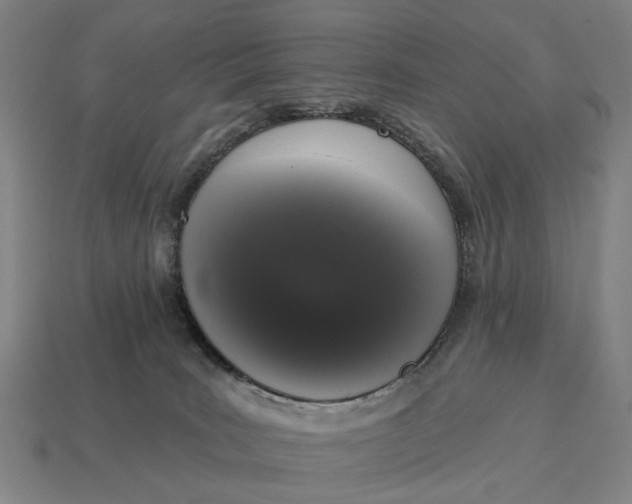 X0000115110035200911101615