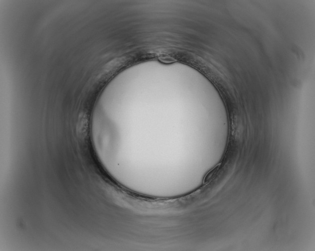 X0000115110036200911101615